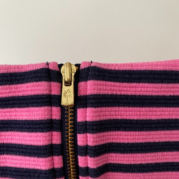 Lilly Pulitzer Brielle fit & flare dress Hotty Pink Ottoman Stripe - Picture 9 of 14
